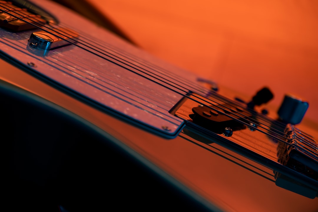 Guitar pick close-up
